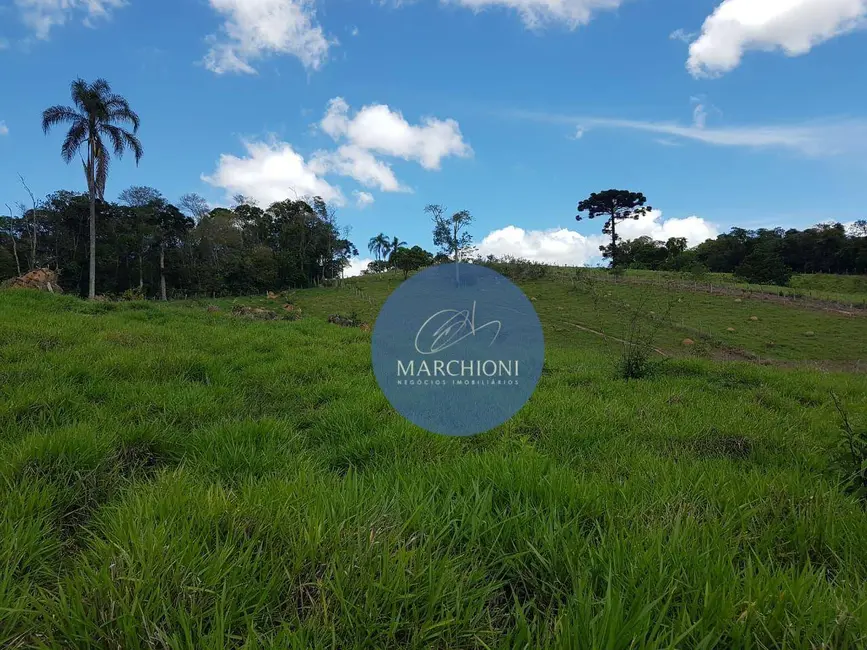 Terreno / Lote à venda, 20000m2 em Pinhalzinho - SP - imagem 4 Foto 4 de Terreno / Lote à venda, 20000m2 em Pinhalzinho - SP