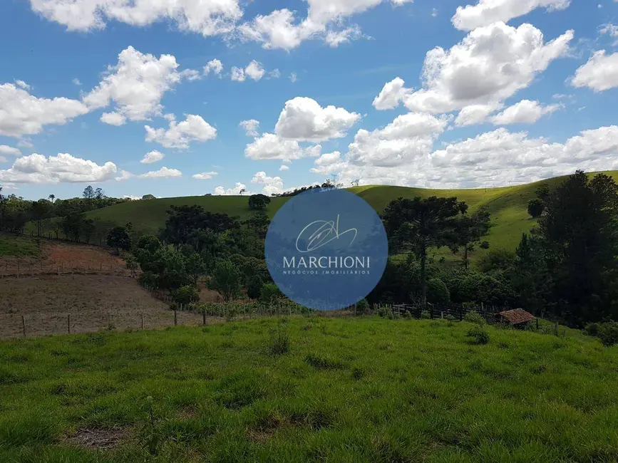 Terreno / Lote à venda, 20000m2 em Pinhalzinho - SP - imagem 5 Foto 5 de Terreno / Lote à venda, 20000m2 em Pinhalzinho - SP