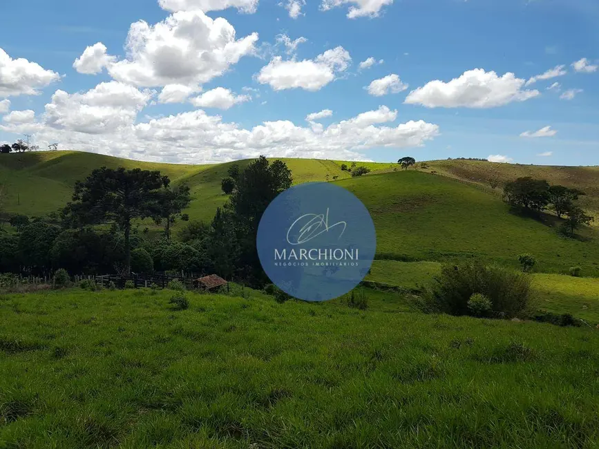Terreno / Lote à venda, 20000m2 em Pinhalzinho - SP - imagem 6 Foto 6 de Terreno / Lote à venda, 20000m2 em Pinhalzinho - SP