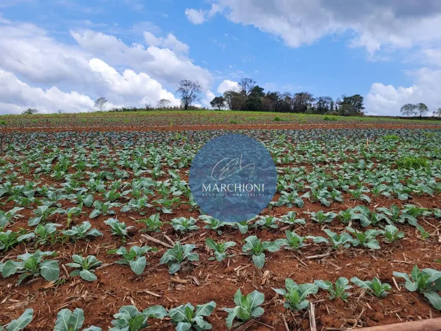 Foto 1 de Sítio / Rancho com 3 quartos à venda, 169400m2 em Socorro - SP