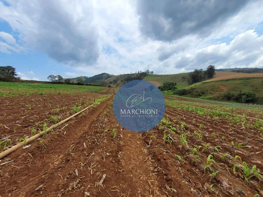 Foto 2 de Sítio / Rancho com 3 quartos à venda, 169400m2 em Socorro - SP