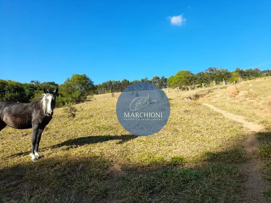 Foto 1 de Terreno / Lote à venda, 59000m2 em Pinhalzinho - SP