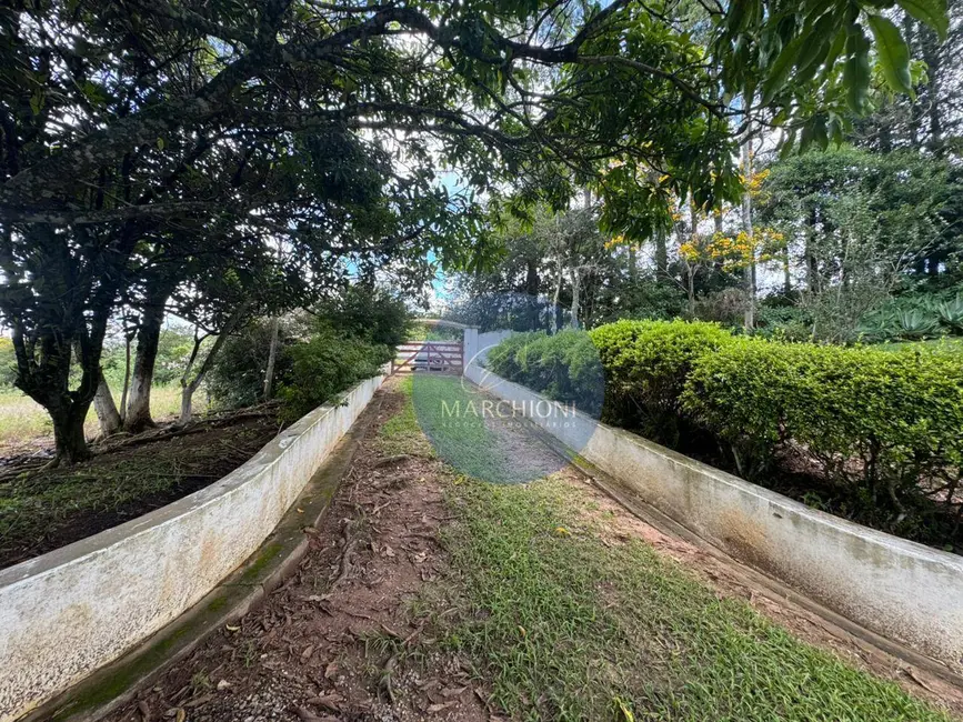 Foto 5 de Chácara com 3 quartos à venda, 12000m2 em Pinhalzinho - SP