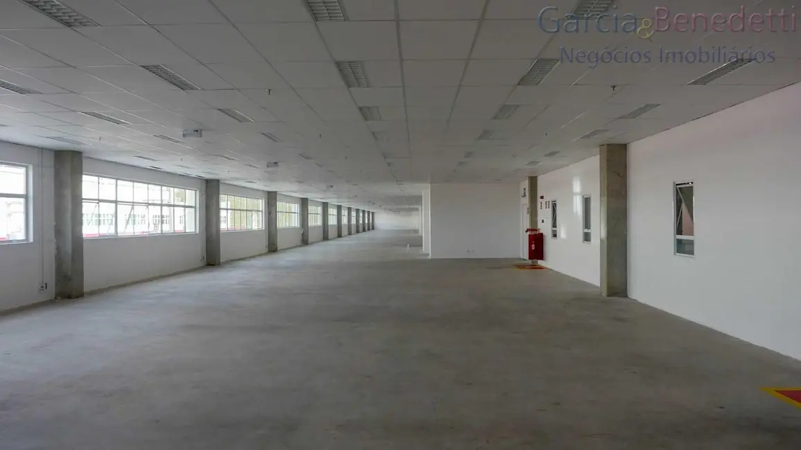 Foto 3 de Armazém / Galpão para alugar, 780m2 em Jardim Presidente Dutra, Guarulhos - SP
