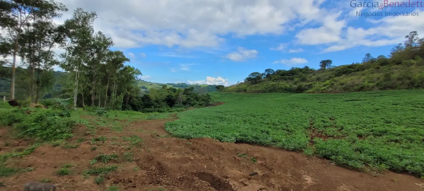 Foto 8 de Chácara à venda, 121000m2 em Jandaia Do Sul - PR