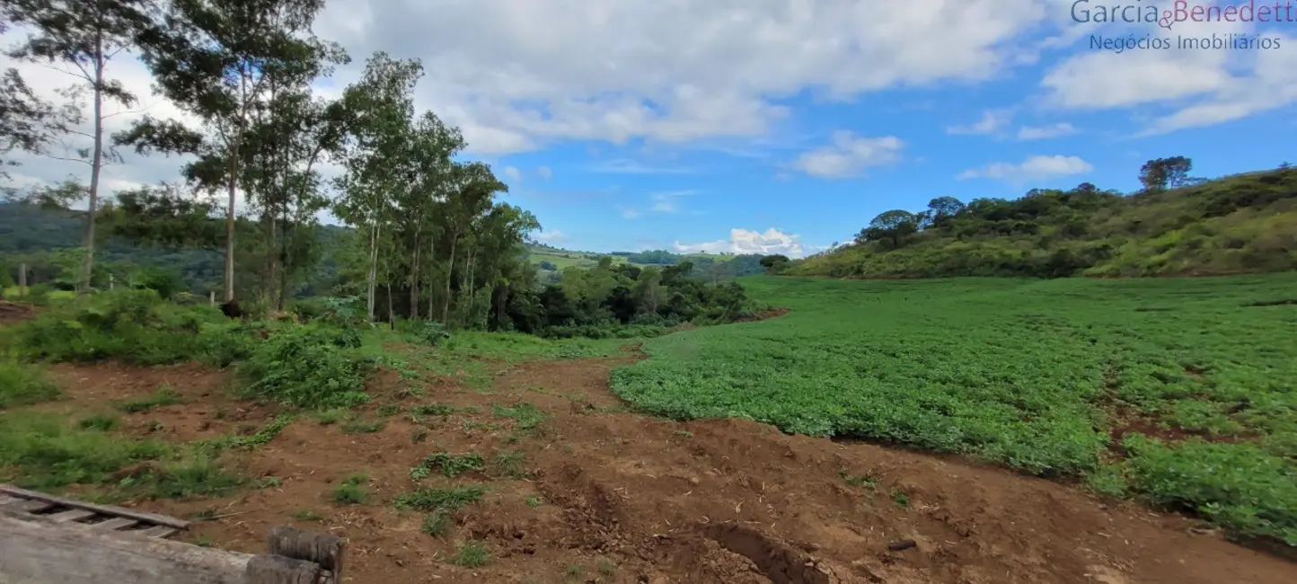 Foto 9 de Chácara à venda, 121000m2 em Jandaia Do Sul - PR