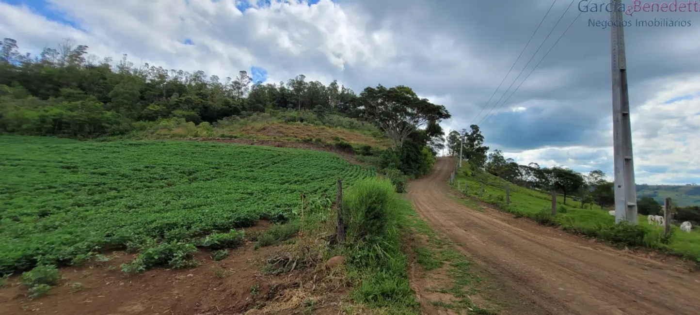 Foto 1 de Chácara à venda, 121000m2 em Jandaia Do Sul - PR