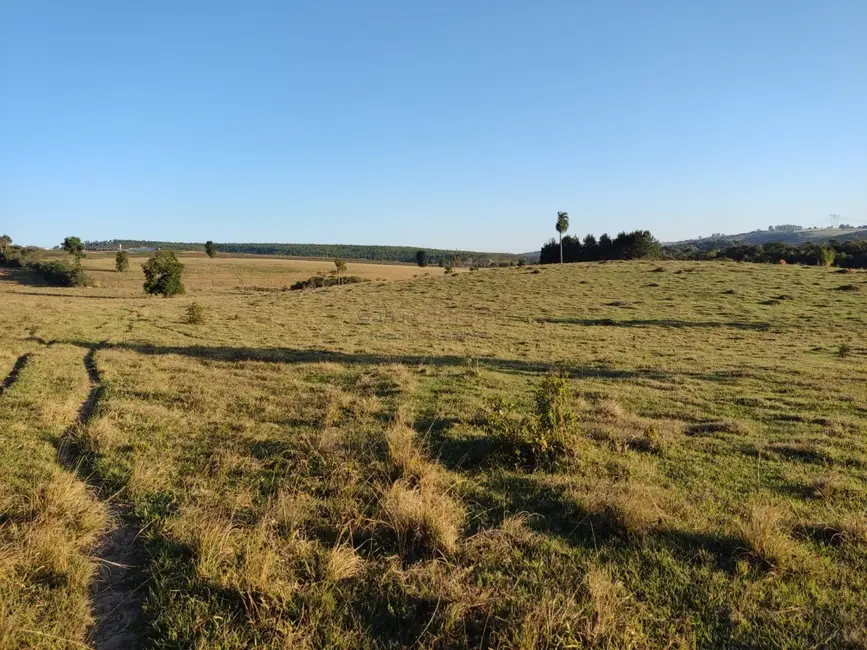 Sítio / Rancho com 2 quartos à venda, 338800m2 em Centro, Itapetininga - SP - imagem 7 Foto 7 de Sítio / Rancho com 2 quartos à venda, 338800m2 em Centro, Itapetininga - SP