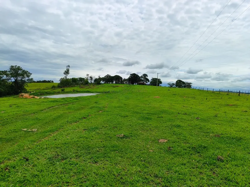 Sítio / Rancho com 2 quartos à venda, 338800m2 em Centro, Itapetininga - SP - imagem 4 Foto 4 de Sítio / Rancho com 2 quartos à venda, 338800m2 em Centro, Itapetininga - SP