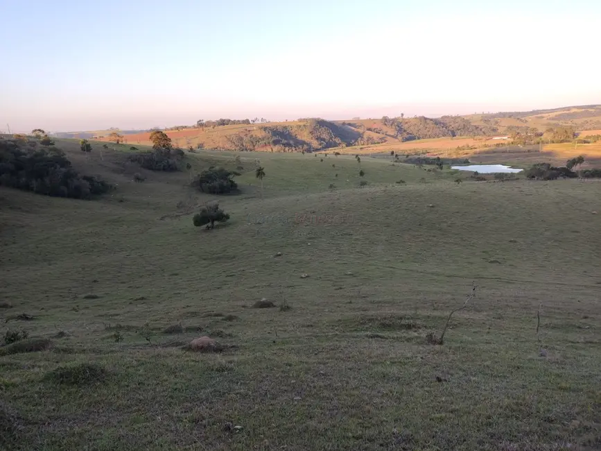 Sítio / Rancho com 2 quartos à venda, 338800m2 em Centro, Itapetininga - SP - imagem 8 Foto 8 de Sítio / Rancho com 2 quartos à venda, 338800m2 em Centro, Itapetininga - SP