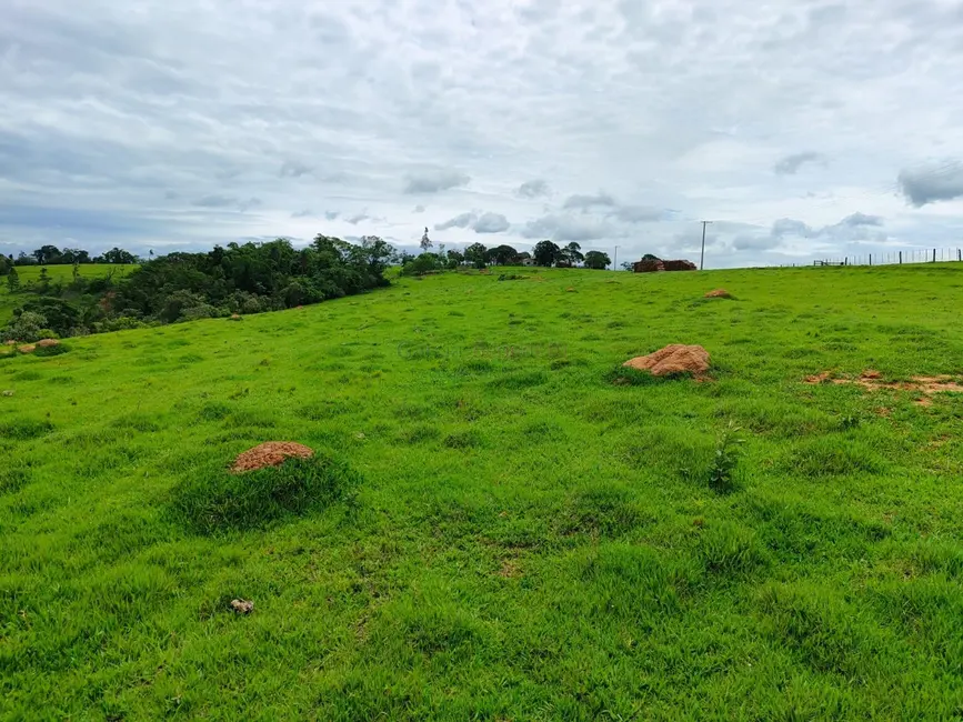 Sítio / Rancho com 2 quartos à venda, 338800m2 em Centro, Itapetininga - SP - imagem 3 Foto 3 de Sítio / Rancho com 2 quartos à venda, 338800m2 em Centro, Itapetininga - SP