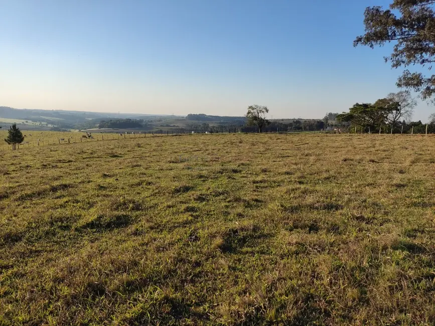 Sítio / Rancho com 2 quartos à venda, 338800m2 em Centro, Itapetininga - SP - imagem 6 Foto 6 de Sítio / Rancho com 2 quartos à venda, 338800m2 em Centro, Itapetininga - SP