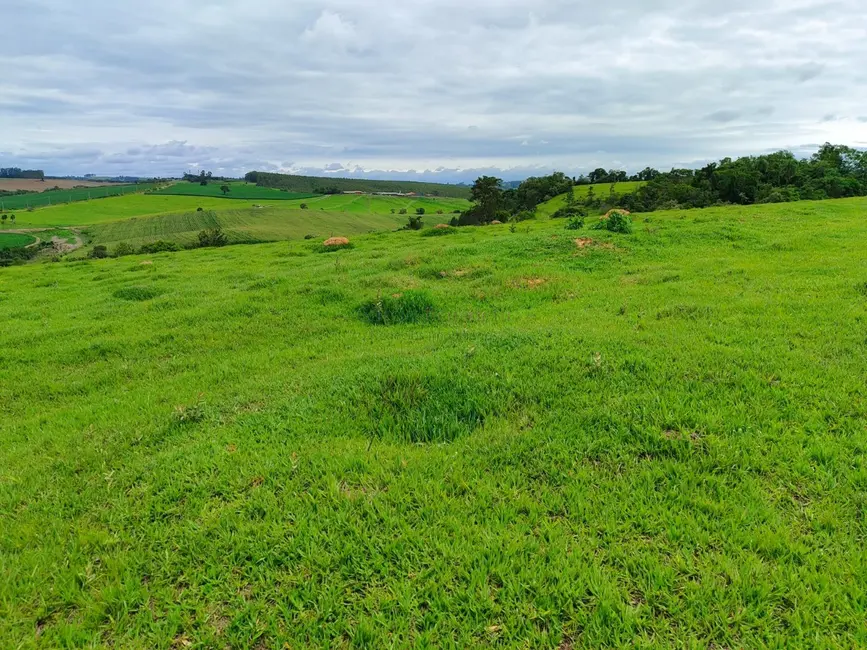 Sítio / Rancho com 2 quartos à venda, 338800m2 em Centro, Itapetininga - SP - imagem 2 Foto 2 de Sítio / Rancho com 2 quartos à venda, 338800m2 em Centro, Itapetininga - SP