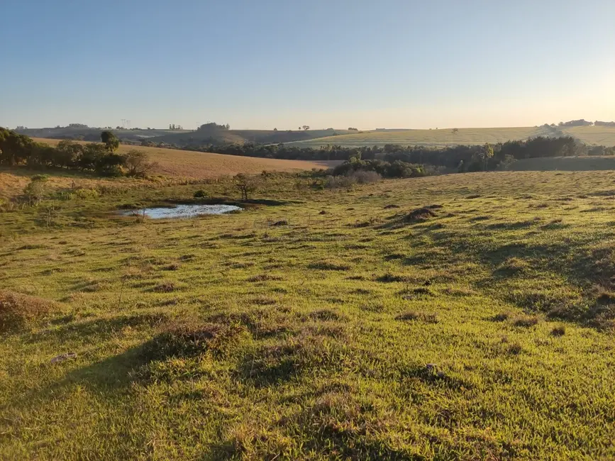 Sítio / Rancho com 2 quartos à venda, 338800m2 em Centro, Itapetininga - SP - imagem 9 Foto 9 de Sítio / Rancho com 2 quartos à venda, 338800m2 em Centro, Itapetininga - SP