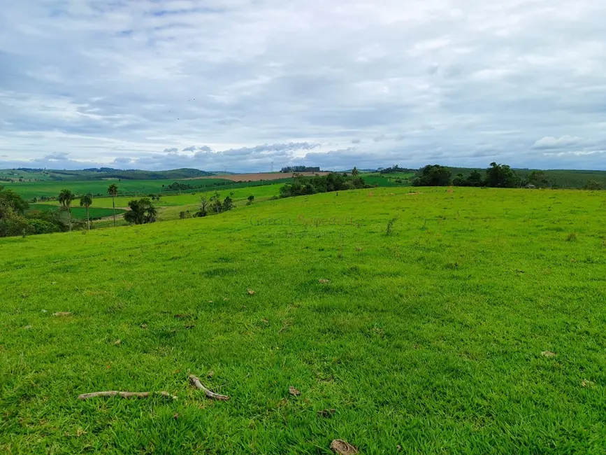 Sítio / Rancho com 2 quartos à venda, 338800m2 em Centro, Itapetininga - SP - imagem 5 Foto 5 de Sítio / Rancho com 2 quartos à venda, 338800m2 em Centro, Itapetininga - SP