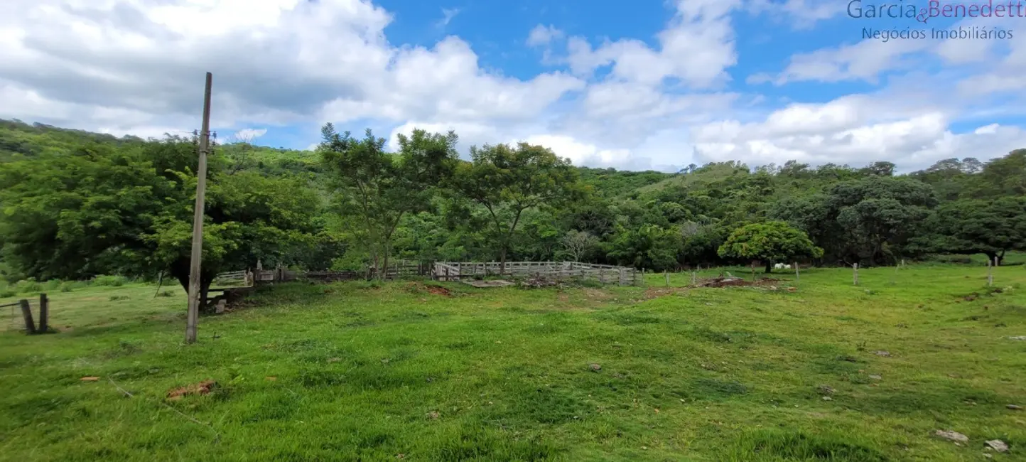 Foto 7 de Chácara com 3 quartos à venda, 290400m2 em Jandaia Do Sul - PR