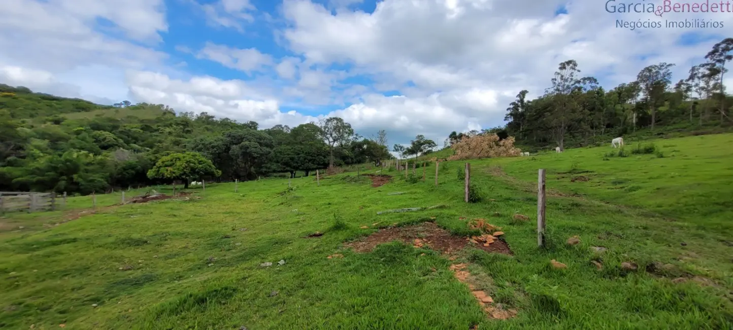 Foto 2 de Chácara com 3 quartos à venda, 290400m2 em Jandaia Do Sul - PR