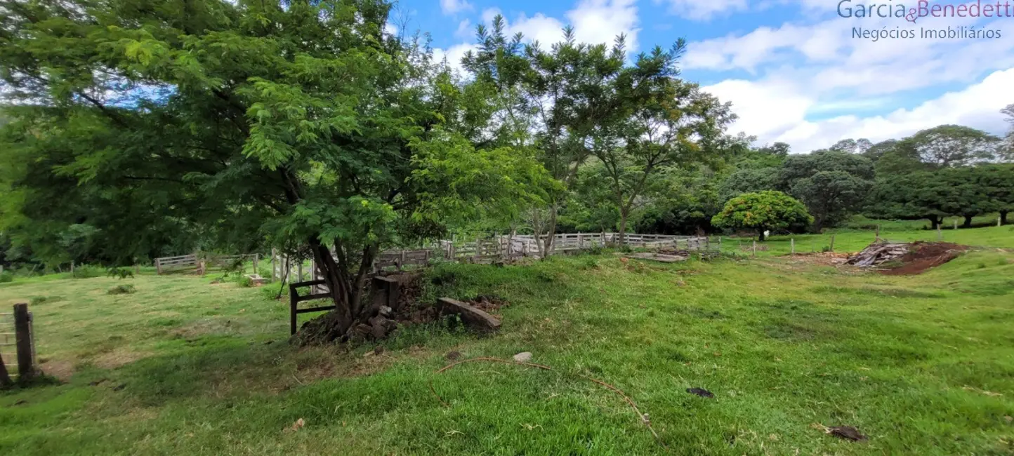 Foto 8 de Chácara com 3 quartos à venda, 290400m2 em Jandaia Do Sul - PR