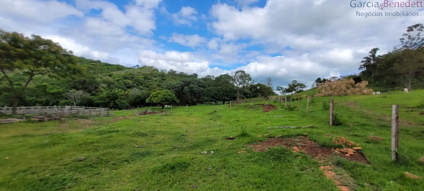 Foto 3 de Chácara com 3 quartos à venda, 290400m2 em Jandaia Do Sul - PR