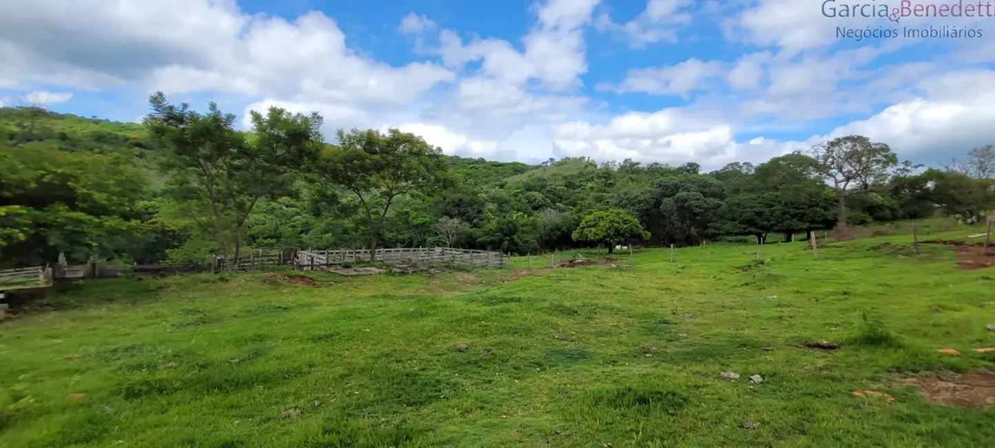 Foto 5 de Chácara com 3 quartos à venda, 290400m2 em Jandaia Do Sul - PR