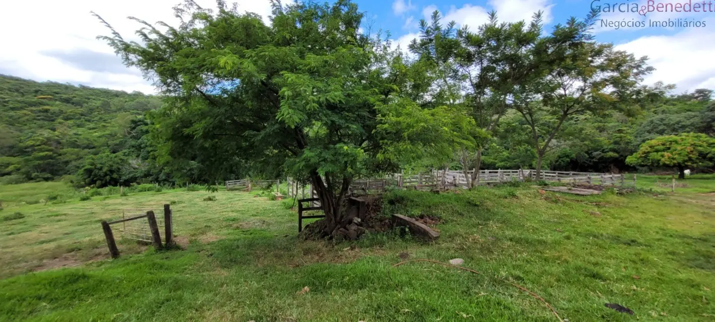 Foto 9 de Chácara com 3 quartos à venda, 290400m2 em Jandaia Do Sul - PR