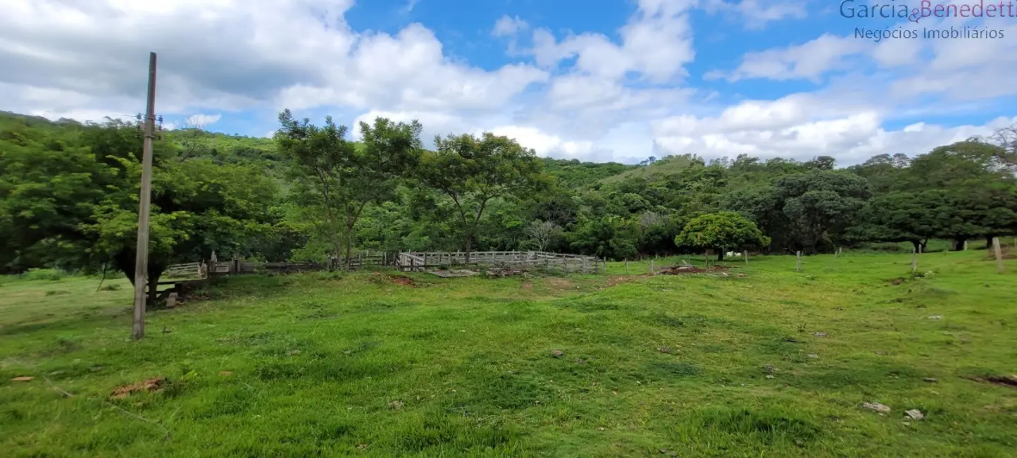 Foto 6 de Chácara com 3 quartos à venda, 290400m2 em Jandaia Do Sul - PR
