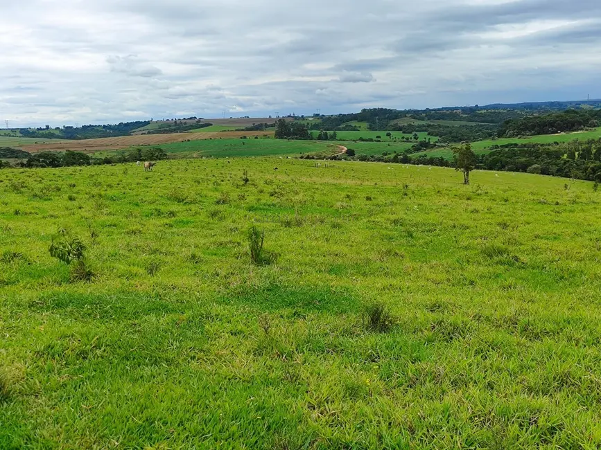 Foto 6 de Sítio / Rancho à venda, 193600m2 em Centro, Itapetininga - SP