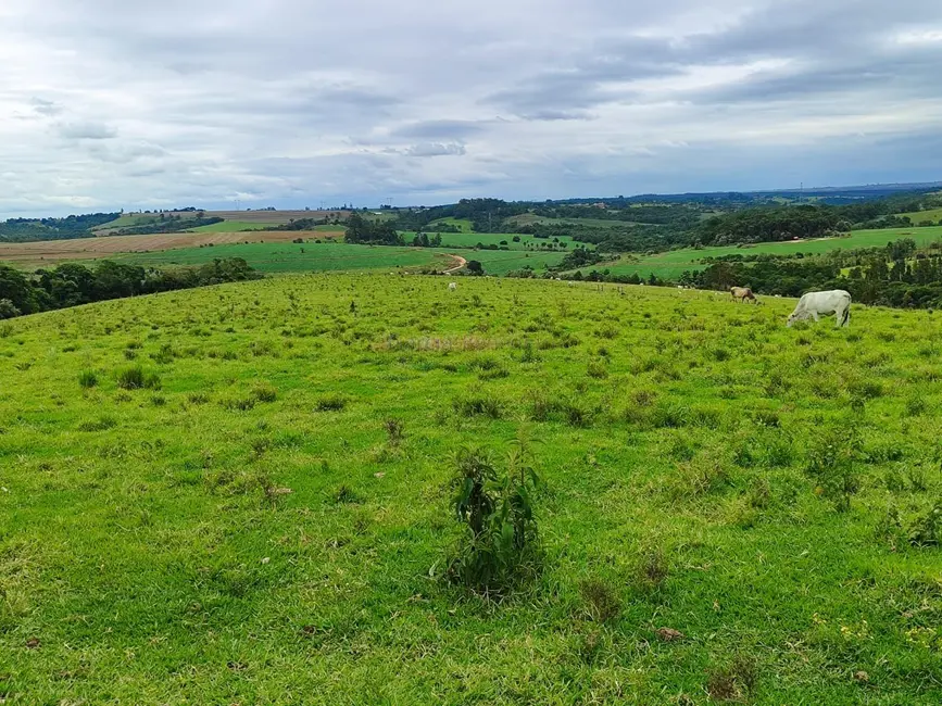 Foto 7 de Sítio / Rancho à venda, 193600m2 em Centro, Itapetininga - SP