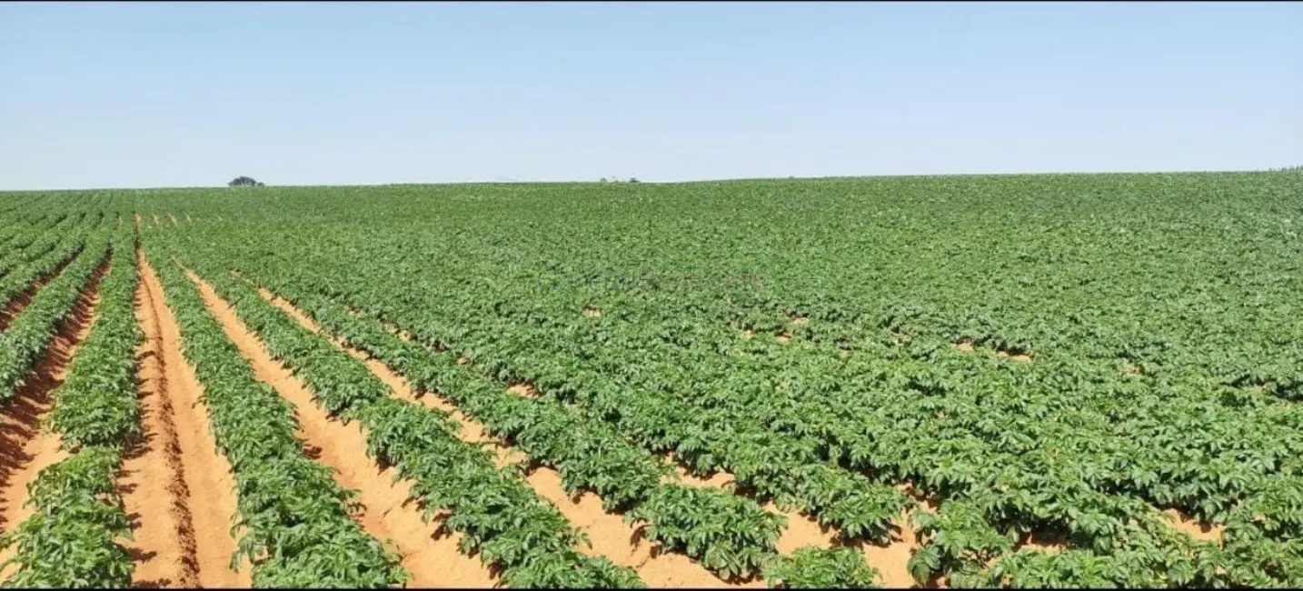 Foto 1 de Sítio / Rancho à venda, 895400m2 em Vale San Fernando, Itapetininga - SP