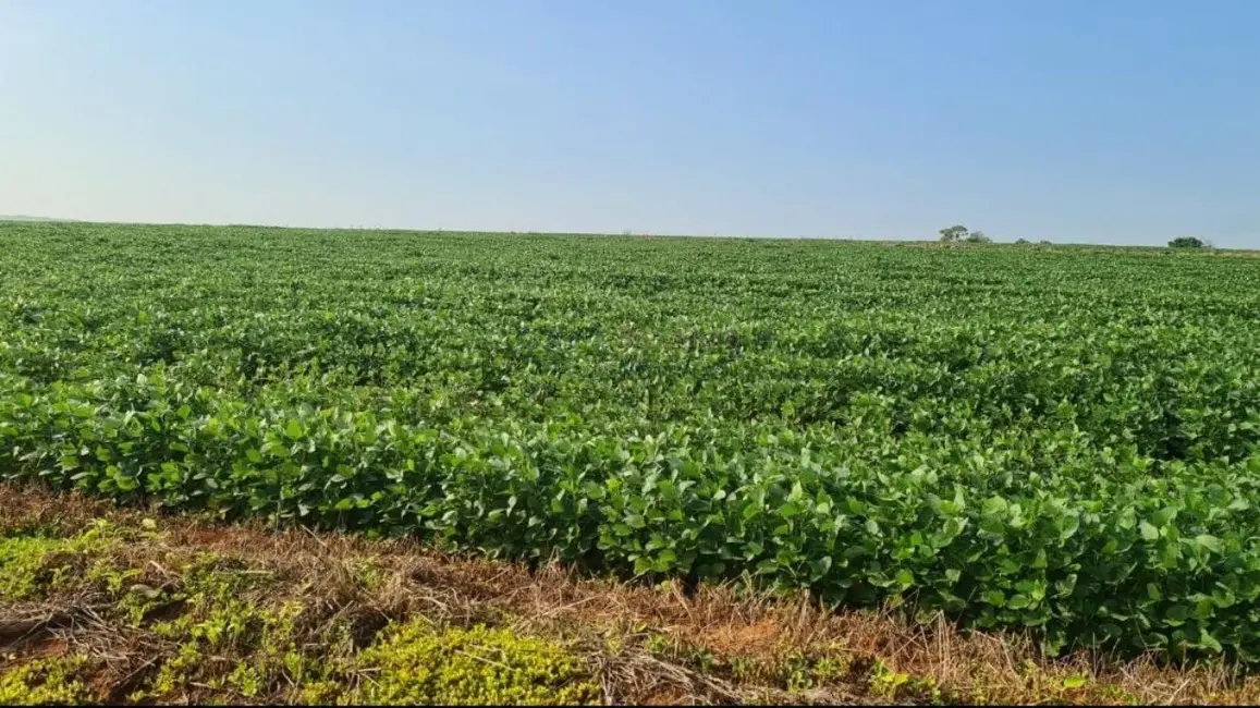 Foto 6 de Sítio / Rancho à venda, 895400m2 em Vale San Fernando, Itapetininga - SP
