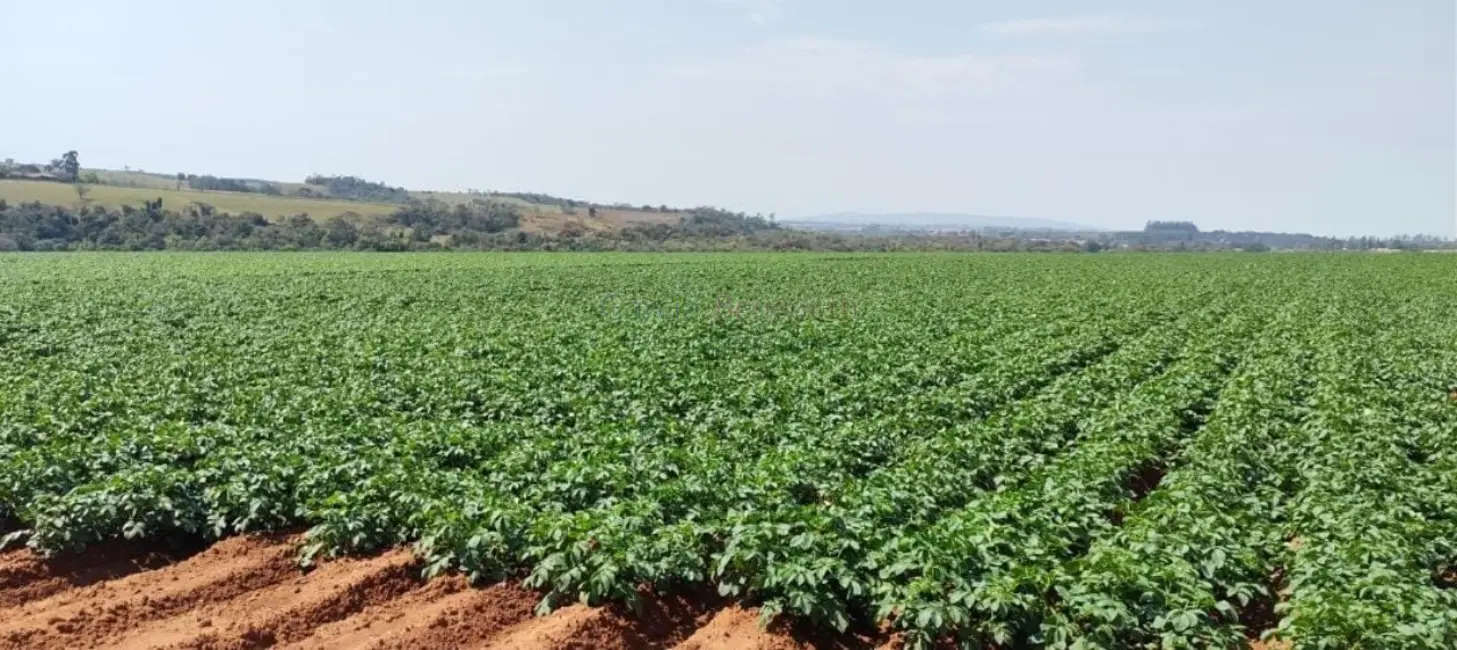 Foto 2 de Sítio / Rancho à venda, 895400m2 em Vale San Fernando, Itapetininga - SP