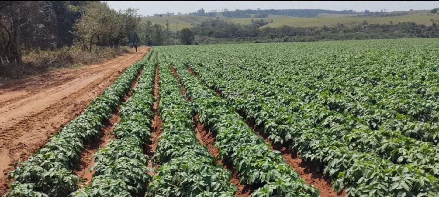 Foto 3 de Sítio / Rancho à venda, 895400m2 em Vale San Fernando, Itapetininga - SP