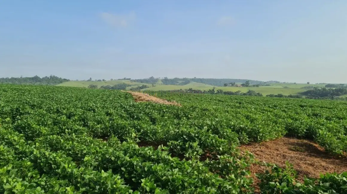Foto 5 de Sítio / Rancho à venda, 895400m2 em Vale San Fernando, Itapetininga - SP