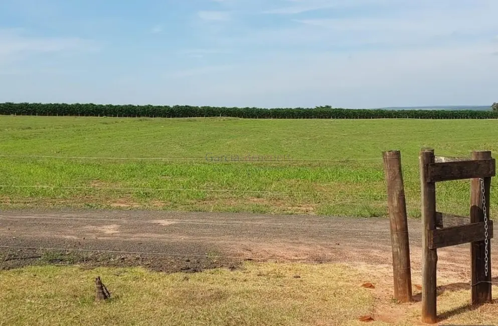 Foto 7 de Fazenda / Haras com 4 quartos à venda, 1718200m2 em Loteamento Chácaras Vale do São Luiz, Bauru - SP
