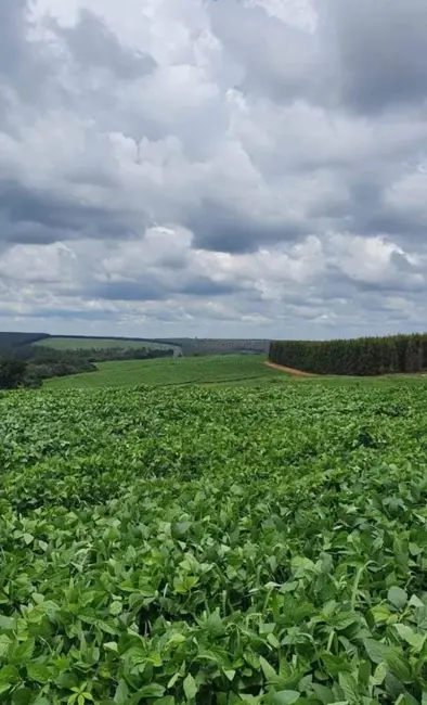 Foto 9 de Fazenda / Haras com 4 quartos à venda, 1718200m2 em Loteamento Chácaras Vale do São Luiz, Bauru - SP