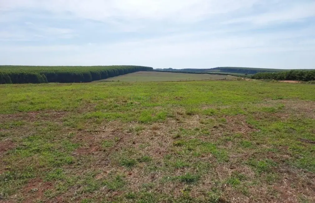 Foto 4 de Fazenda / Haras com 4 quartos à venda, 1718200m2 em Loteamento Chácaras Vale do São Luiz, Bauru - SP