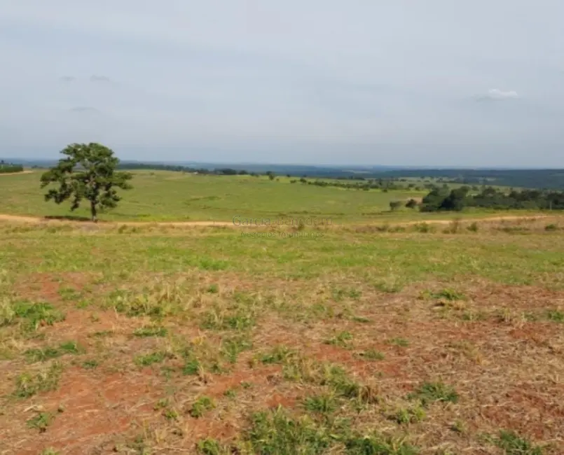 Foto 3 de Fazenda / Haras com 4 quartos à venda, 1718200m2 em Loteamento Chácaras Vale do São Luiz, Bauru - SP
