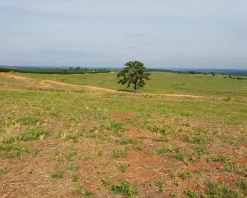 Foto 6 de Fazenda / Haras com 4 quartos à venda, 1718200m2 em Loteamento Chácaras Vale do São Luiz, Bauru - SP