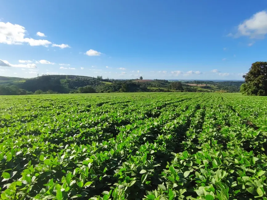 Foto 7 de Sítio / Rancho à venda, 145200m2 em Vale San Fernando, Itapetininga - SP