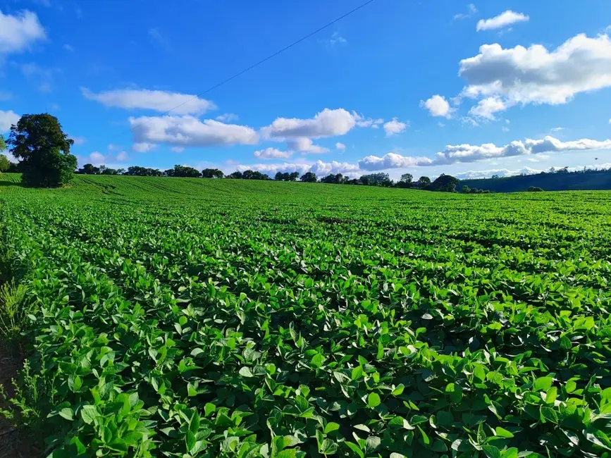Foto 4 de Sítio / Rancho à venda, 145200m2 em Vale San Fernando, Itapetininga - SP