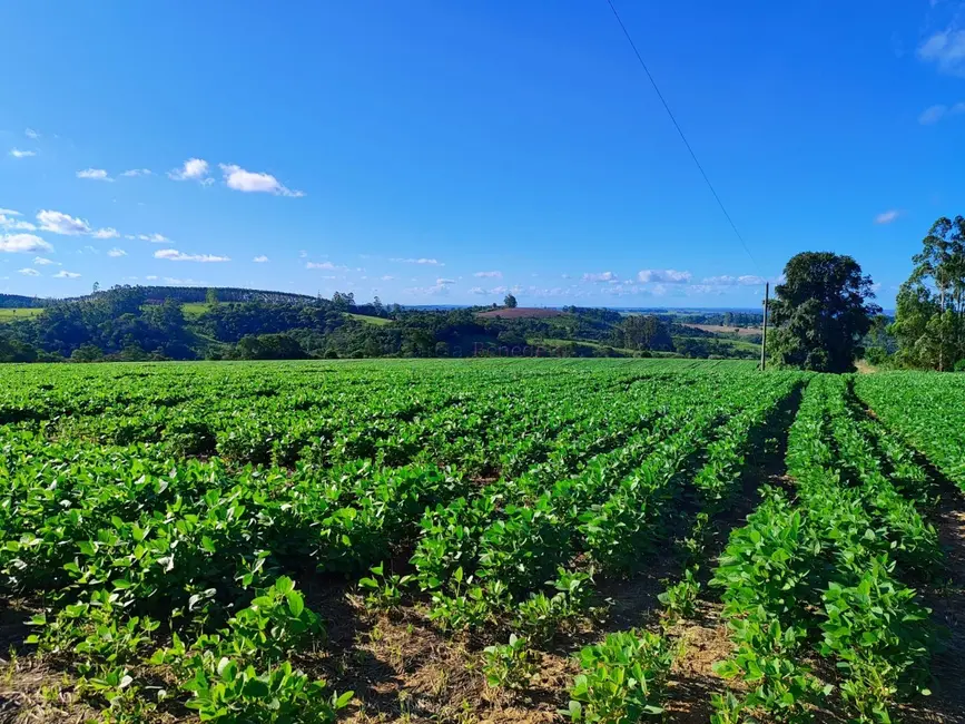 Foto 3 de Sítio / Rancho à venda, 145200m2 em Vale San Fernando, Itapetininga - SP