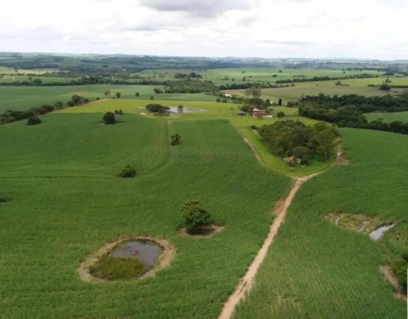 Sítio / Rancho com 3 quartos à venda, 557253m2 em Centro, Itapetininga - SP - imagem 7 Foto 7 de Sítio / Rancho com 3 quartos à venda, 557253m2 em Centro, Itapetininga - SP