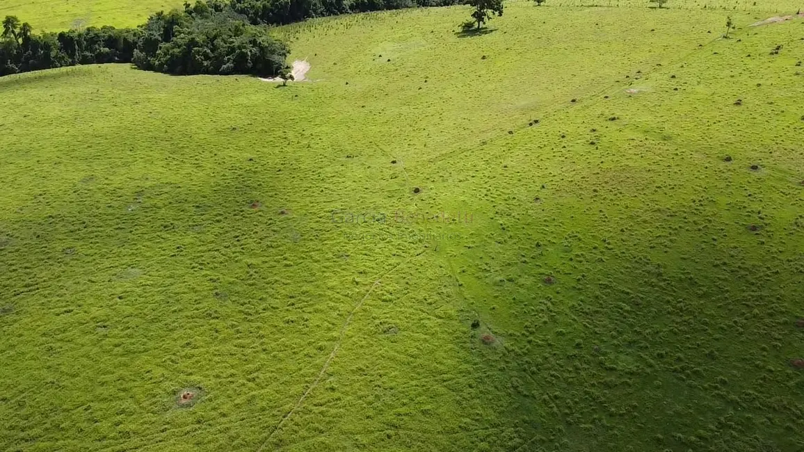 Foto 7 de Sítio / Rancho à venda, 387200m2 em Centro, Itapetininga - SP
