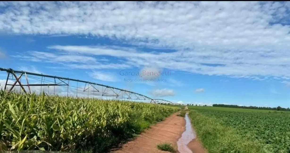 Fazenda / Haras com 5 quartos à venda, 5808000m2 em Centro, Avare - SP - imagem 3 Foto 3 de Fazenda / Haras com 5 quartos à venda, 5808000m2 em Centro, Avare - SP