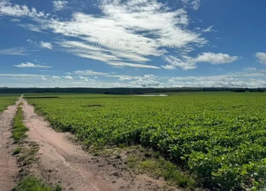 Fazenda / Haras com 5 quartos à venda, 5808000m2 em Centro, Avare - SP - imagem 7 Foto 7 de Fazenda / Haras com 5 quartos à venda, 5808000m2 em Centro, Avare - SP