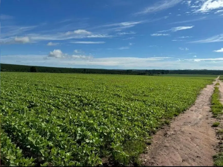Fazenda / Haras com 5 quartos à venda, 5808000m2 em Centro, Avare - SP - imagem 9 Foto 9 de Fazenda / Haras com 5 quartos à venda, 5808000m2 em Centro, Avare - SP