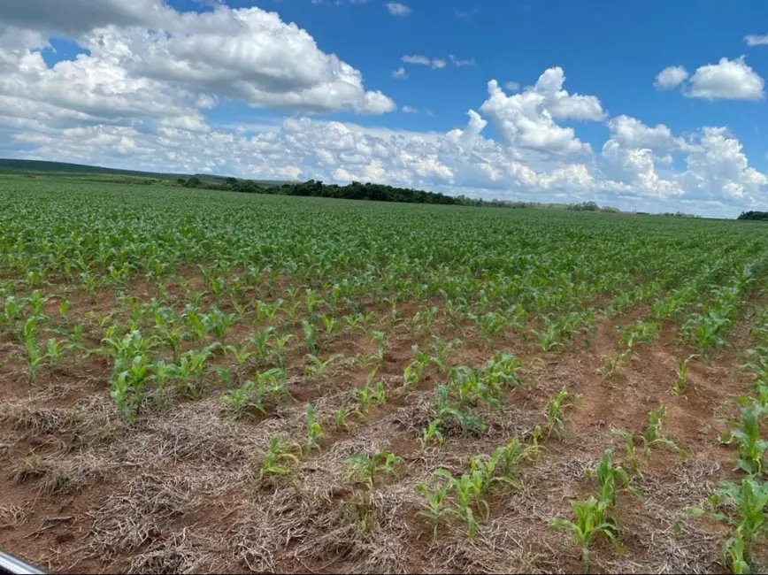 Fazenda / Haras com 5 quartos à venda, 5808000m2 em Centro, Avare - SP - imagem 5 Foto 5 de Fazenda / Haras com 5 quartos à venda, 5808000m2 em Centro, Avare - SP