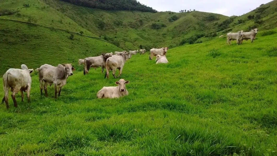 Foto 5 de Fazenda / Haras com 5 quartos à venda, 71317m2 em Adrianopolis - PR