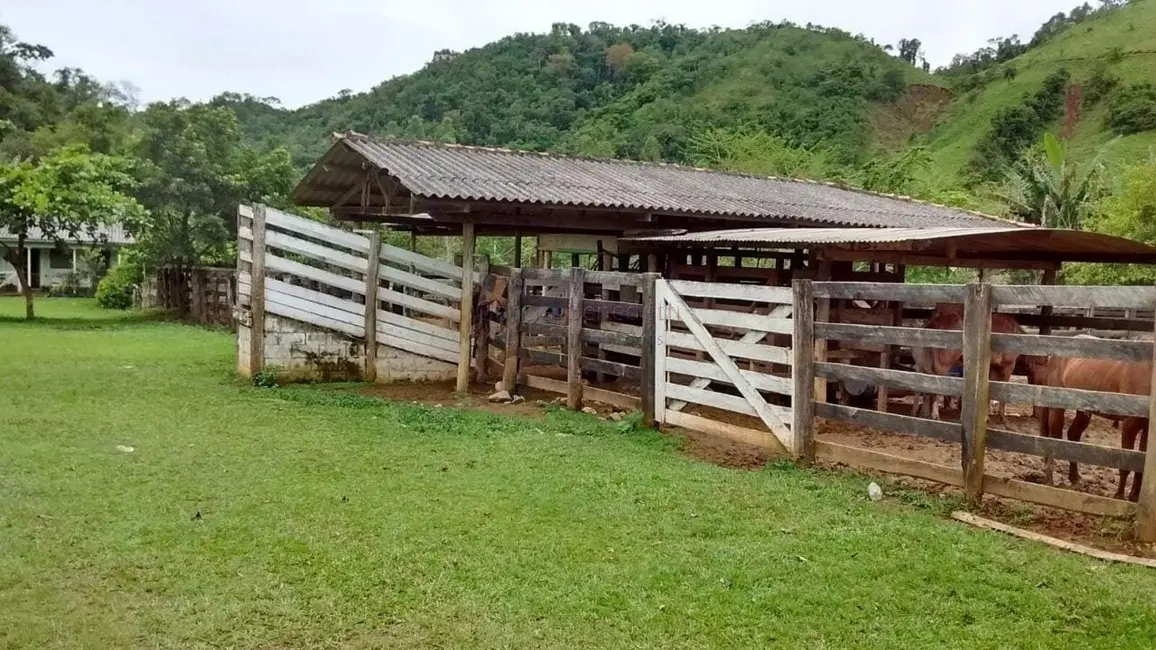 Foto 9 de Fazenda / Haras com 5 quartos à venda, 71317m2 em Adrianopolis - PR