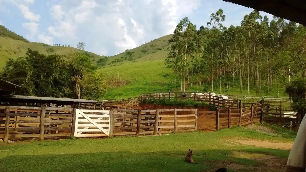 Foto 6 de Fazenda / Haras com 5 quartos à venda, 71317m2 em Adrianopolis - PR